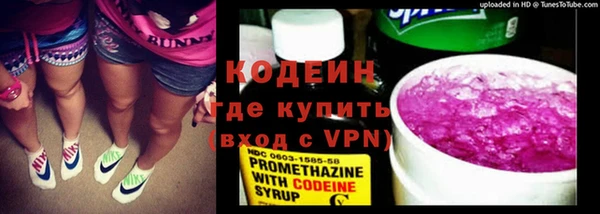 хмурый Вяземский