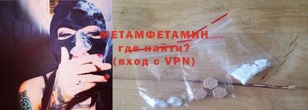прущие грибы Вязники