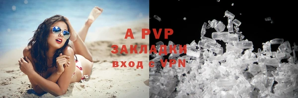 прущие грибы Вязники