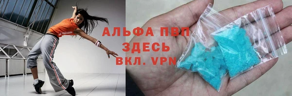 прущие грибы Вязники
