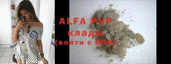 крисы Вязьма