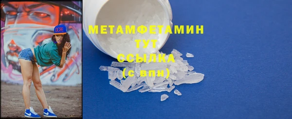 прущие грибы Вязники