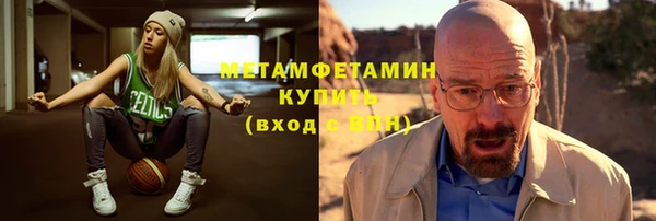 прущие грибы Вязники