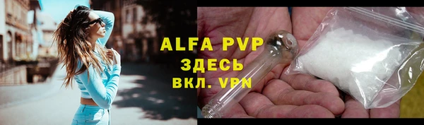 прущие грибы Вязники