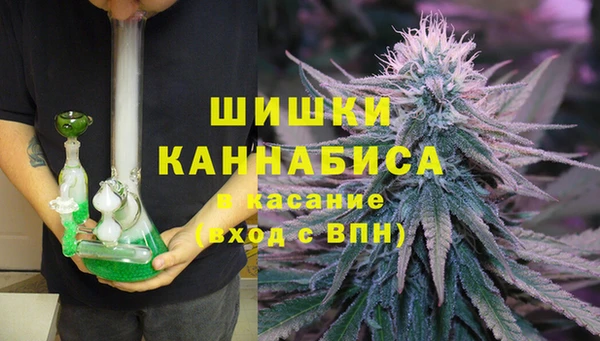 крисы Вязьма