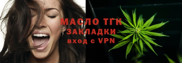 хмурый Вяземский