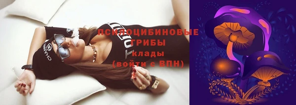 прущие грибы Вязники