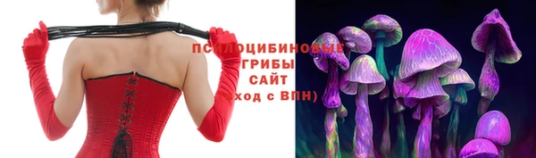крисы Вязьма