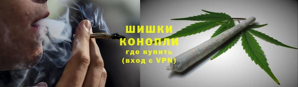 прущие грибы Вязники