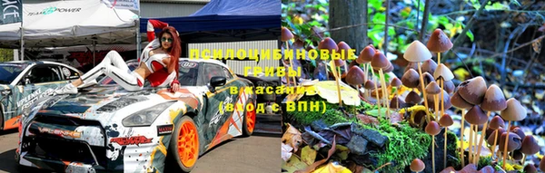 крисы Вязьма