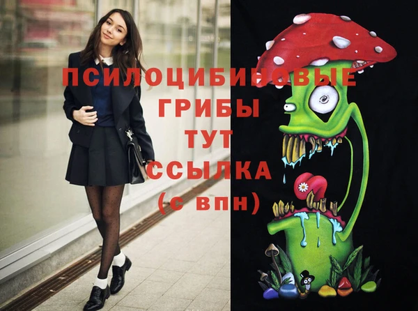спиды Ахтубинск