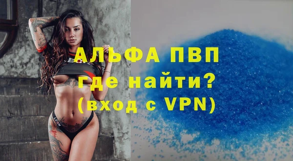 хмурый Вяземский