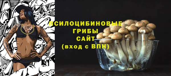 прущие грибы Вязники