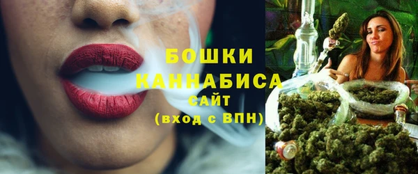 хмурый Вяземский