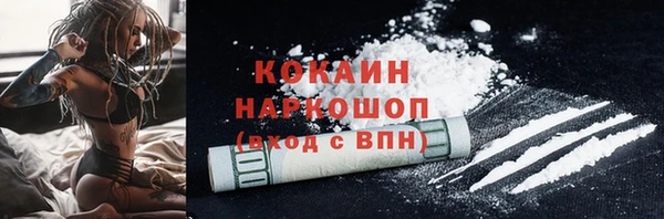 прущие грибы Вязники