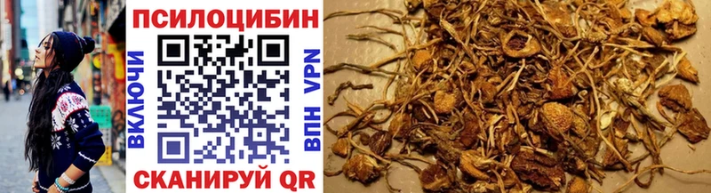 Галлюциногенные грибы Cubensis  купить наркотики сайты  Дагестанские Огни 