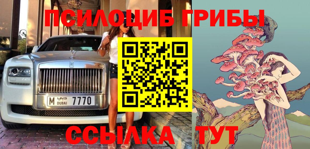 Галлюциногенные грибы Psilocybine cubensis  Дагестанские Огни 