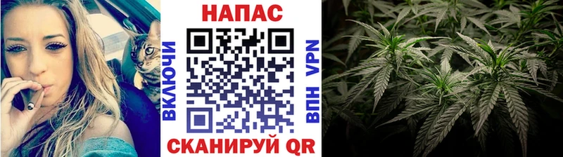 Конопля Ganja  как найти   Дагестанские Огни 